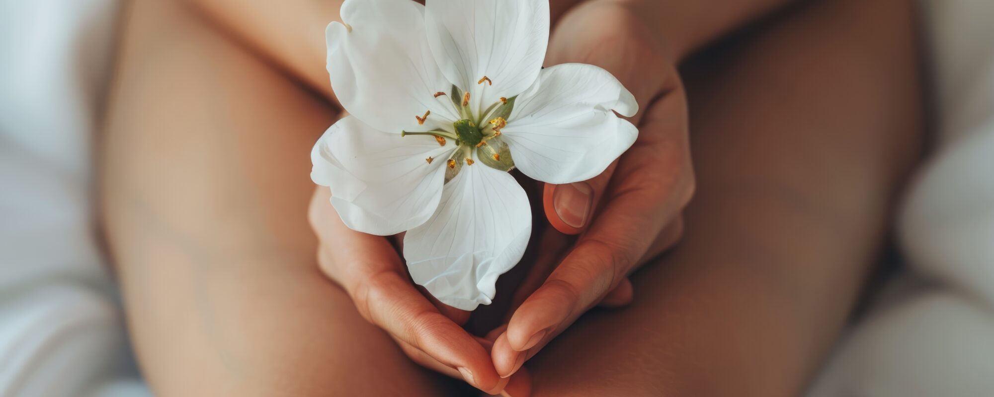 Ginekologia estetyczna